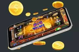 6686 bet